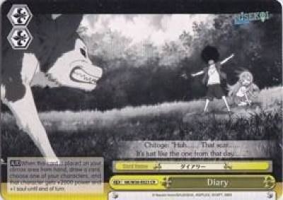 Diary NK/W30-E023 CR NISEKOI -False Love- Card
