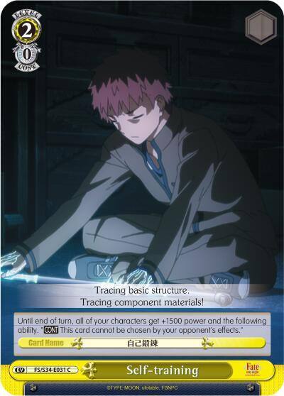 Self training FS/S34-E031 C Fate/stay night [Unlimited Blade Works] Card