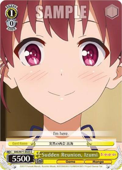 Sudden Reunion Izumi SHS/W71-E025 C Saekano How to Raise a Boring Girlfriend. flat Card